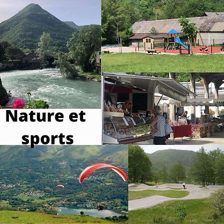 Jolie Maison De Ville En Bord De Neste 8/9 Pers Sarrancolin Luaran gambar